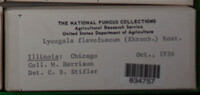 Image Associated With the Occurence